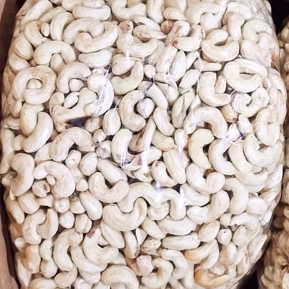 original top Indonesia agricultural and bean products cashew nuts w240 from our own local farmers export quality