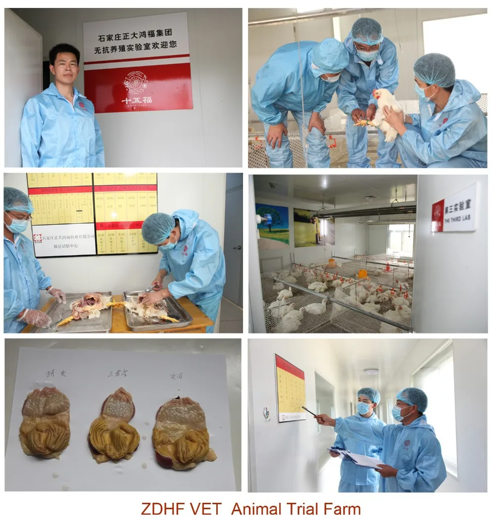 
Ovaprim for fish breeding hormone injection 