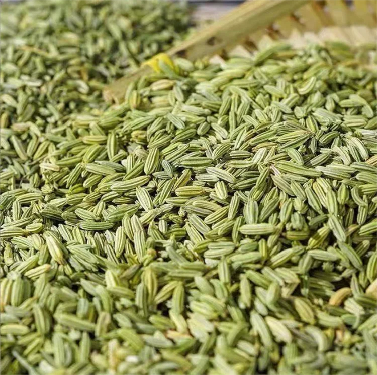 Hot Sale High Quality Low Prices Premium Herbs And Spices Clean Fennel Seeds