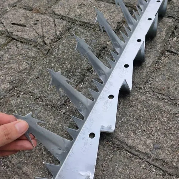 Animol control deterrent anti Climb Strips plastic thorn bird spike for pigeon hot dipped galvanized material