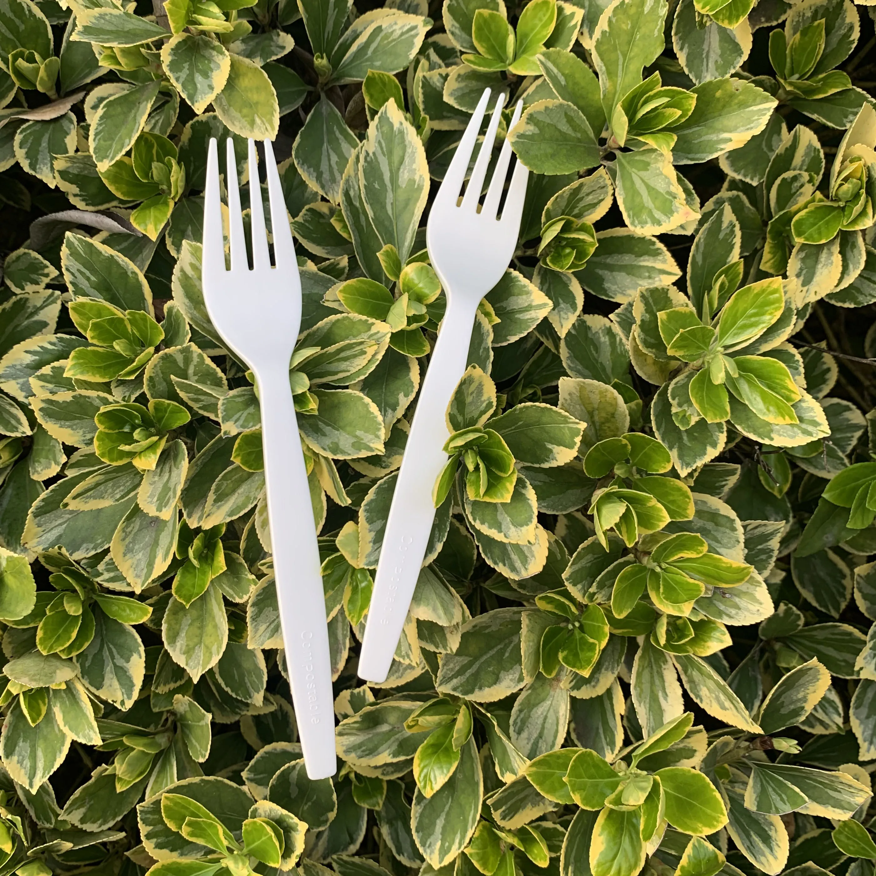 Biopoly Individual Bag Packaging Eco Friendly Disposable Biodegradable Plastic Utensils Compostable PLA Cutlery Set