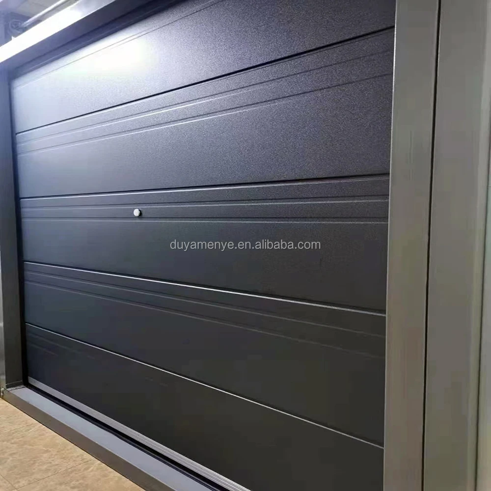 Professional Factory Produce Garage Door Homes for Wholesales Made in China
