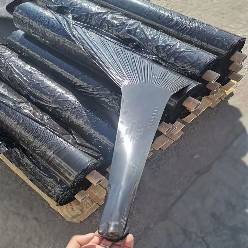 Supply 20-50micron black poly mulch film agriculture plastic and silver with holes for strawberry