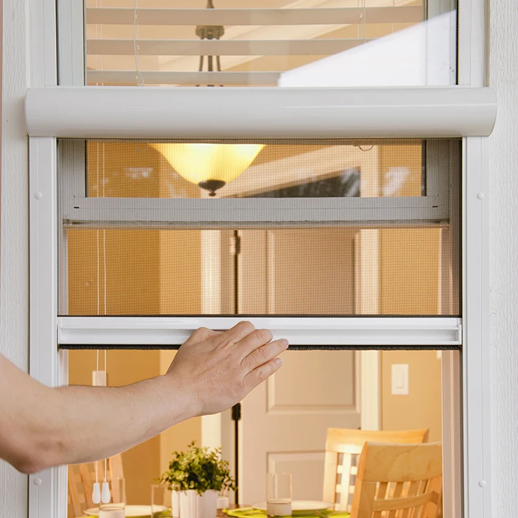 Professional retractable household mosquito netting aluminum roller screen window