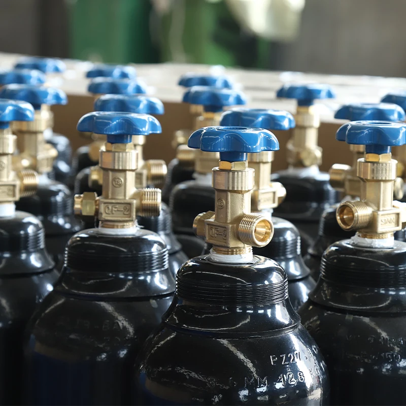 Professional Empty 50Liter Medical Oxygen Cylinders For Oxygen Gas Filling