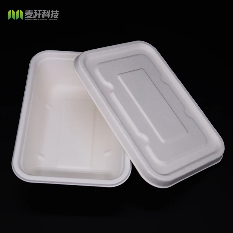 
Biodegradable Sugarcane Bagasse Disposable Takeaway Food Tray with Lid 