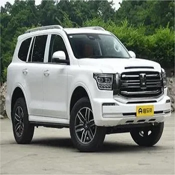 gasline car Tank 500 5 seats 7 seats gasoline 3.0T 48v china manufacturer Best product Hot sale SUV mini car adult