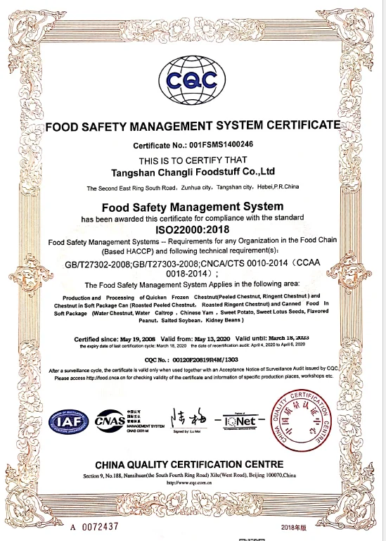 ISO22000-ENGLISH.jpg