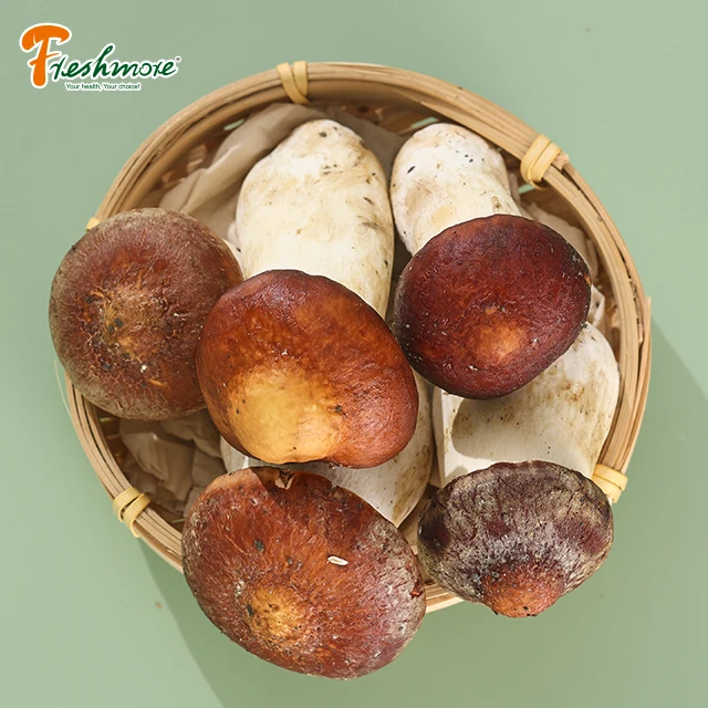 China Finc butan fresh Matsutake pine rare edible mushroom well price