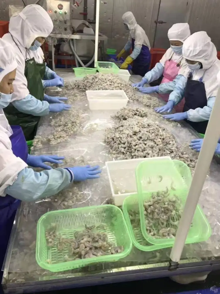  Новые замороженные креветки Vannamei для Вьетнама