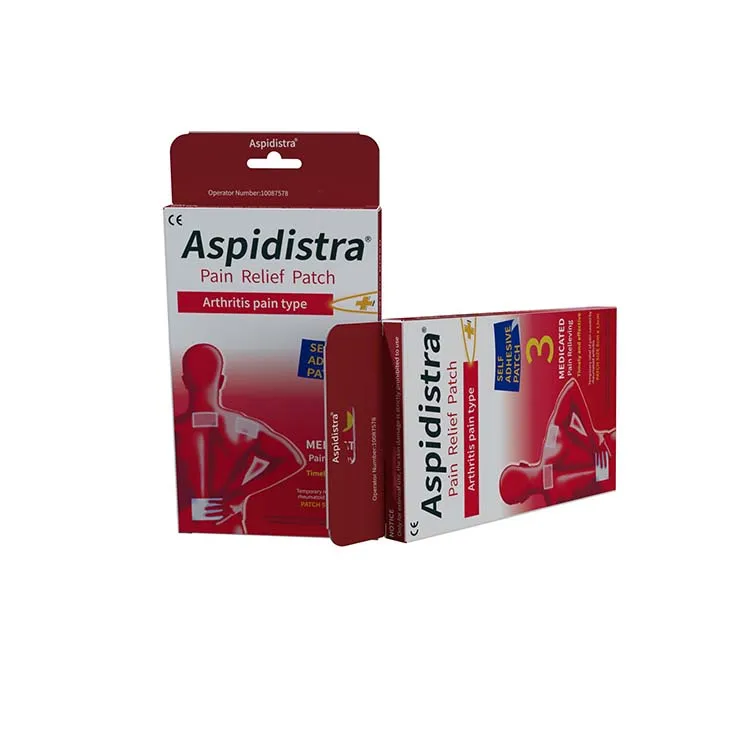 Free Samples Fast Effect Chinese Medicine Pain Patches For Arthritis