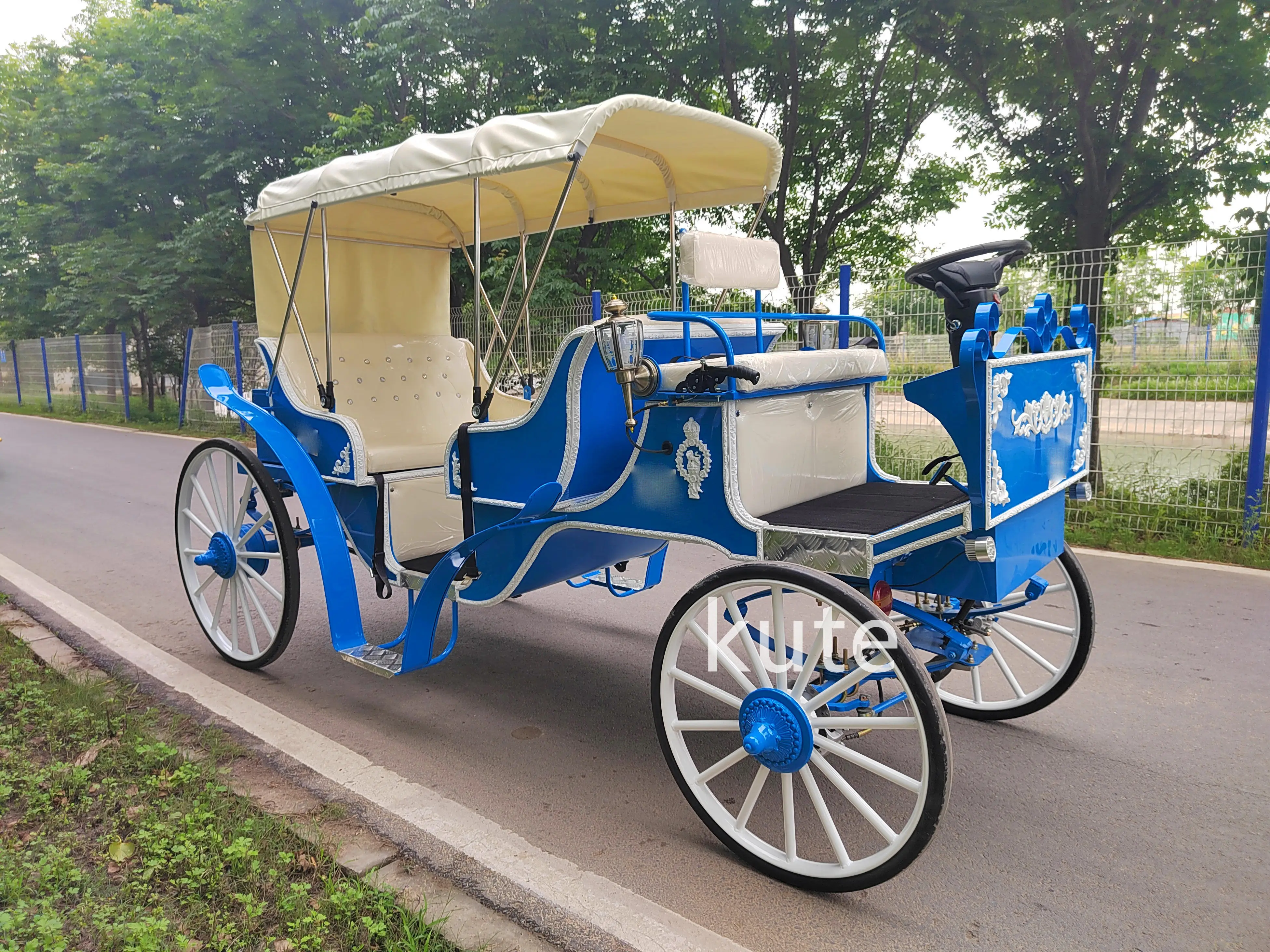 Оптовая продажа заводская цена королевские повозки бесконский Электрический Конь для принцессы экскурсионный вагон