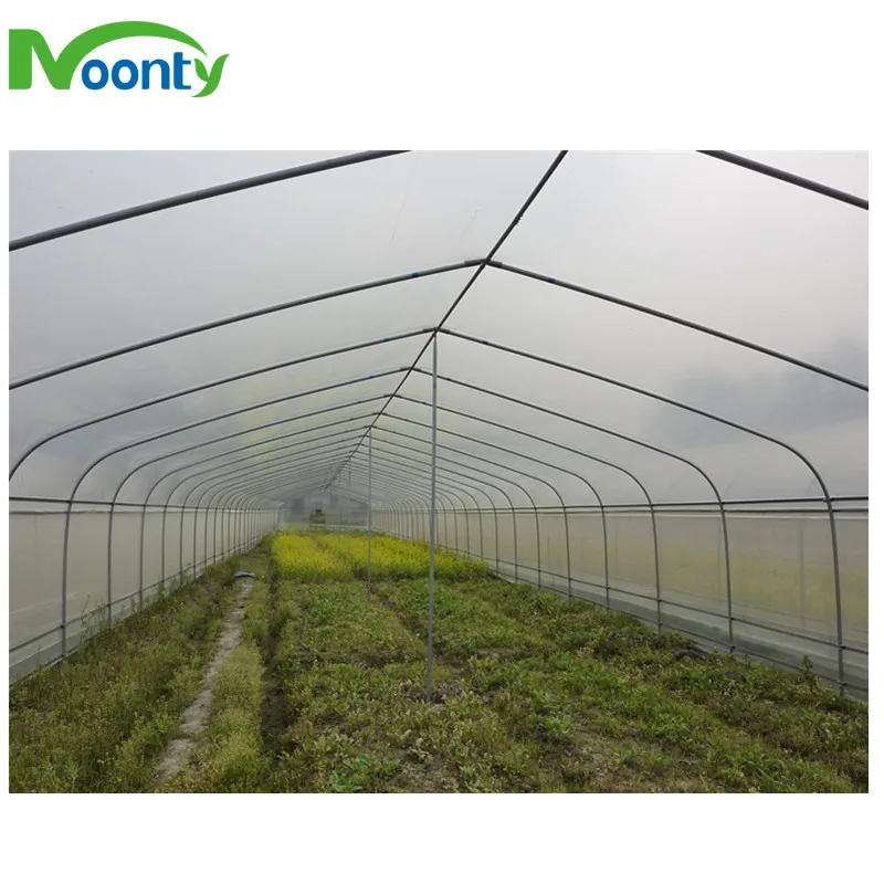China Supplier Cheap Price Tunnel Greenhouse for Tomato/Cucumber/Lettuce/Cherry/Celery/Pepper/Eggplant/Herb/Strawberry Growing