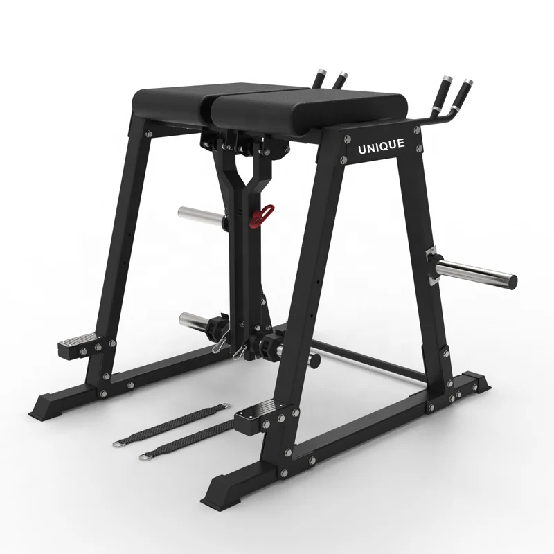 Multi function Commercial Gym Exercise Roman Chair Reverse Hyper Extension