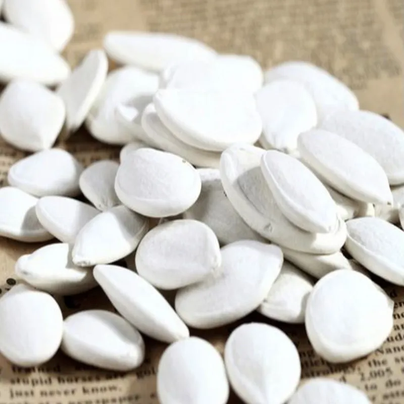 nuts and seeds pumpkin seed protein snow white pumpkin seeds price