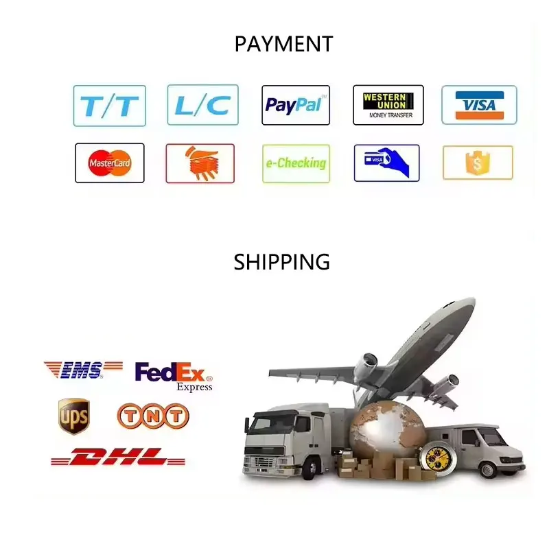 _06.jpg