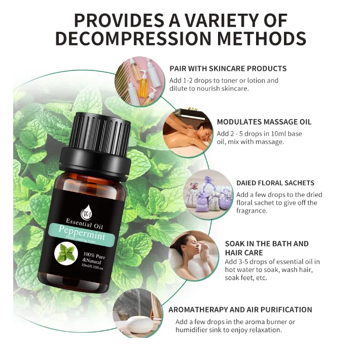 Essential Oil Set with Tea Tree Peppermint Lavender Lemon Eucalyptus Rose Rosemary Face Massage 10ml Bottle OEM Supply