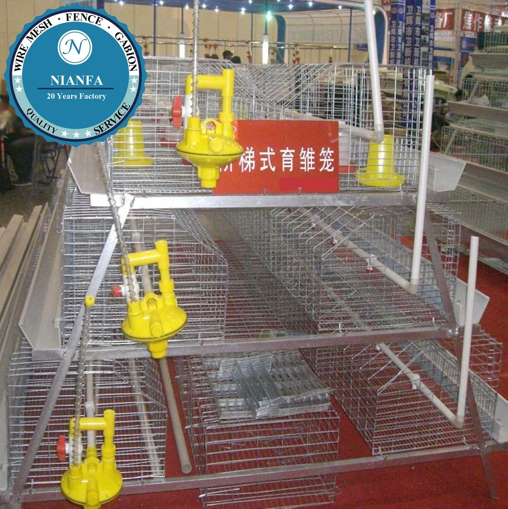 A Type 120 128 160 Birds Capacity Egg Layer Chicken Cage for South Africa Kenya