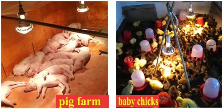 Low Prices Red Infrared Lamp R125 150W 175W 200W 250W Animal Chicken Pig Pet Therapy Infrared Heating Bulb  Infrared light bulb