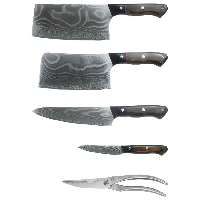 High Quality Damascus Steel Kitchen Knife Set 67 Layers with Resin Handle Favorable Price Japanese Style
