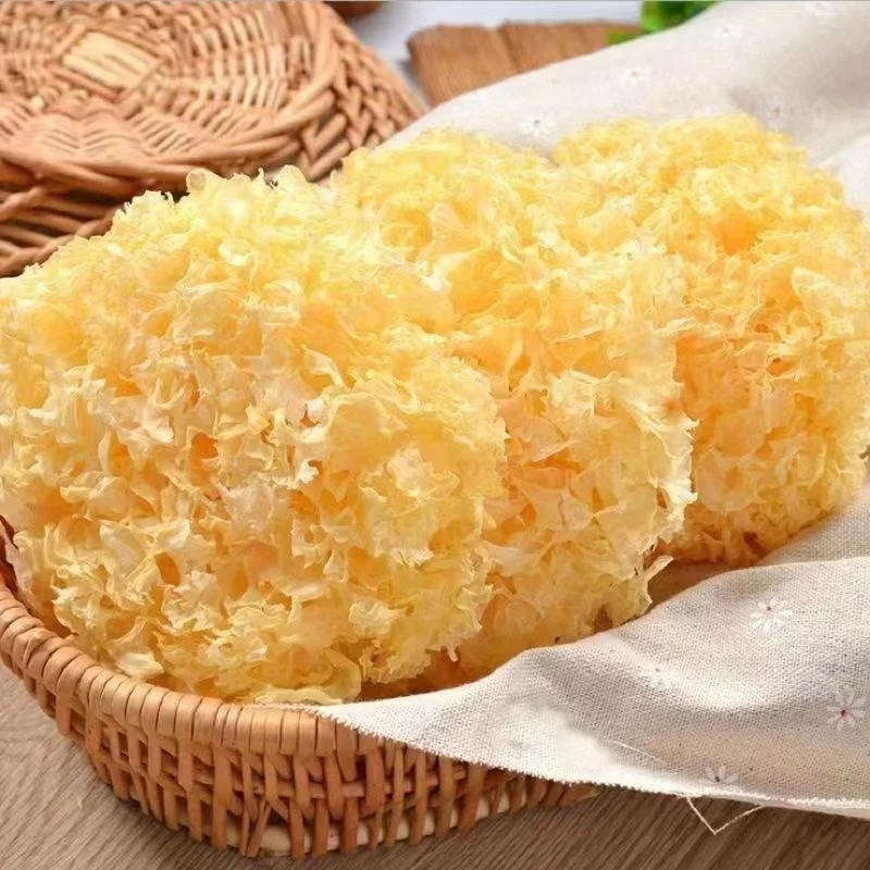 Wholesale China white Fungus Snow Fungus Tremella Fungus Dried  Tremella