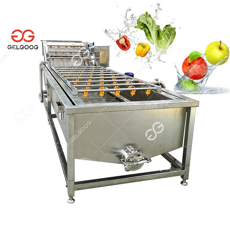  Gelgoog 500Kg/H Vegetable Washer Citrus Orange Sea Buckthorn Date Palm Spray Conveyor Milk fruit Washing