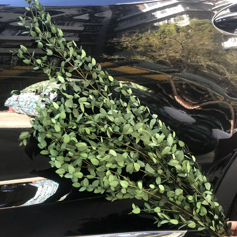 Gift Preserved Flower Box Valentine Wholesale Luxury Everlasting Stabilized Preserved Rose preserved Eucalyptus