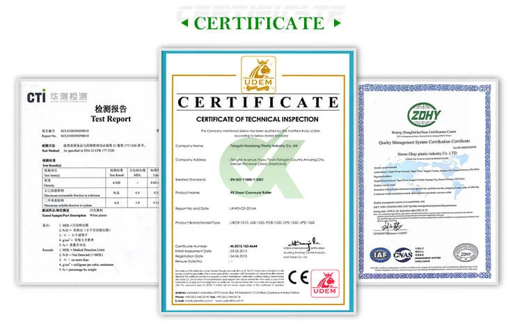 hokey skating rink fence