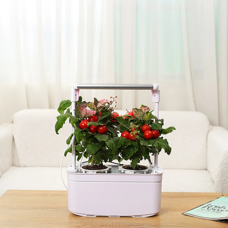 Shenzhen Creative Led light indoor mini smart garden for plants hydroponic smart garden flower planter home garden flower 6 pots