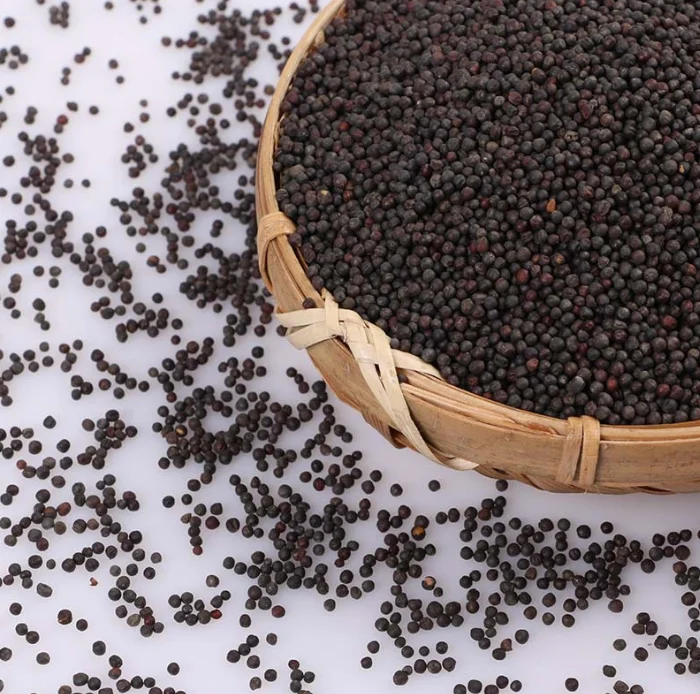 Hot selling mustard seeds edible black granulated spice premium white/yellow/black mustard seeds