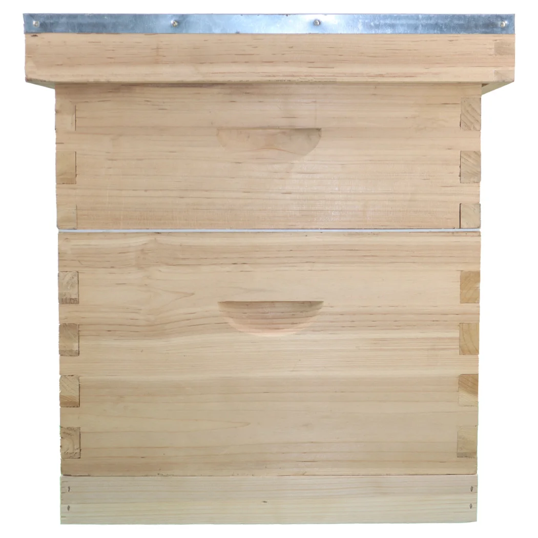 Honey Beekeeping Equipment High Quality Cheap Price 10 Frame Langstroth  Bee Hive Langstroth Beehive