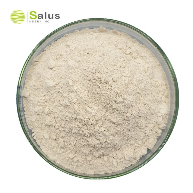 Factory Wholesale Hydroxycitric Acid 65% Garcinia Cambogia Extract Powder
