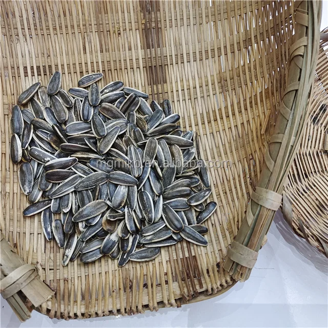 China Best Price Sunflower Seeds Turkey Bulk Organic 363 Sunflower Seeds