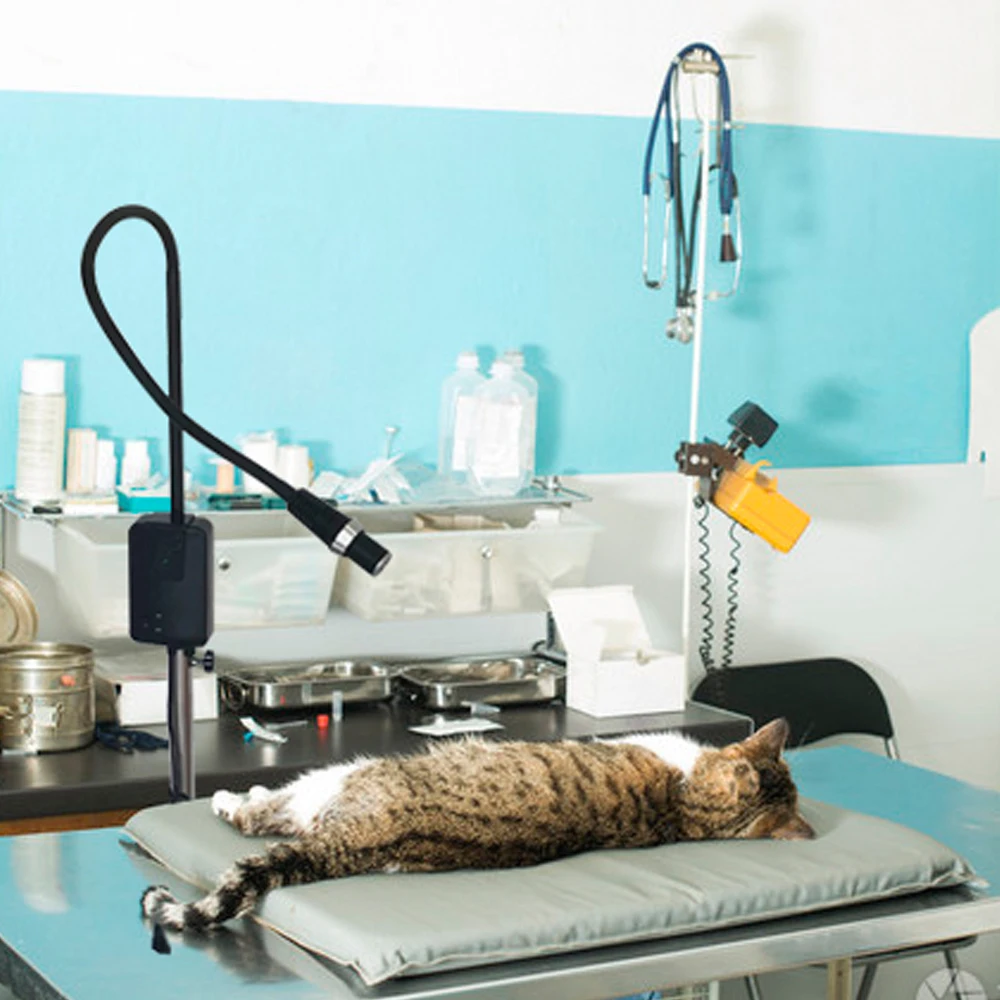 Chenwei multiple functional high brightness 5W medical examination light for Gynecological examination and General surgery