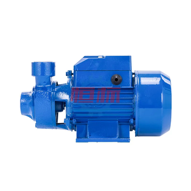 QB 60 Small Peripheral Domestic Vortex Water Pump Electric for Houses