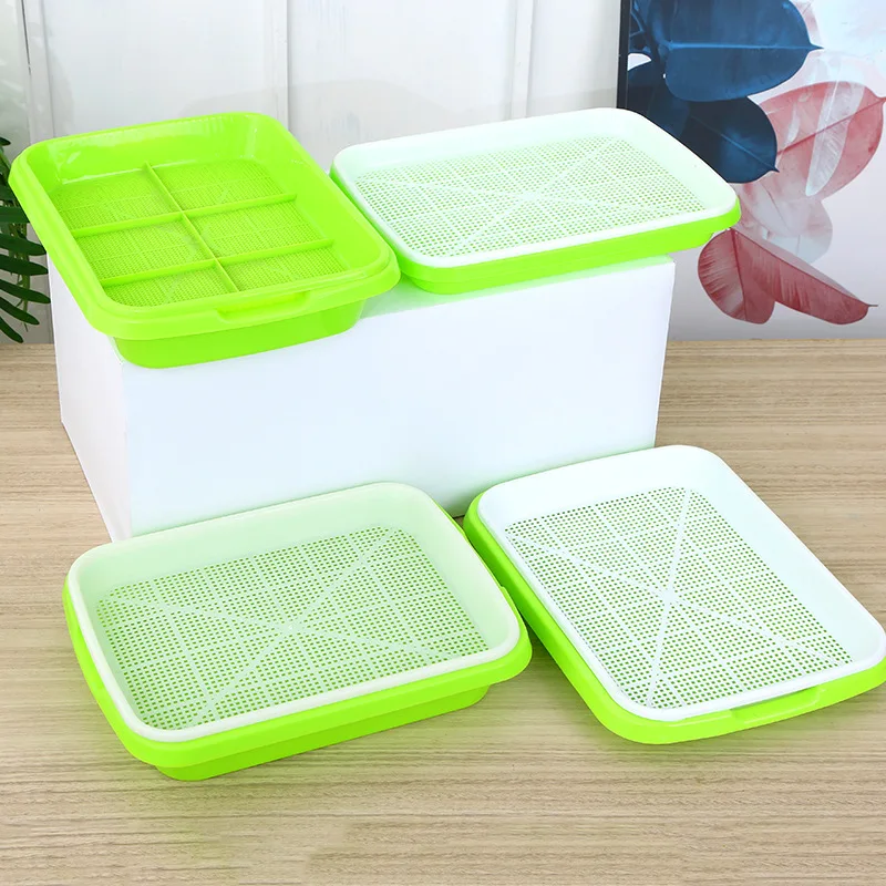 Bean Seedling Dishes Sprouts Planting Plates Sprout Plates Vegetable Seeding Tray Case Grow Box