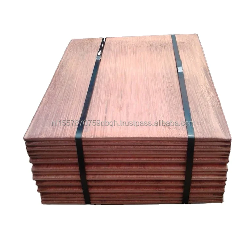Copper Cathode Cathode Copper Cheap Price 99 99 Pure AAA TIA Steel Belt Surface Plate Package Bundle Weight Copper Cathode