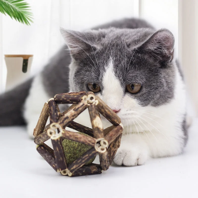 Natural Silvervine Stick Cage Balls Bell Ball for Indoor Cats Kitten Cleaning Teeth Molar Matatabi Cat Chew Toy All Breeds