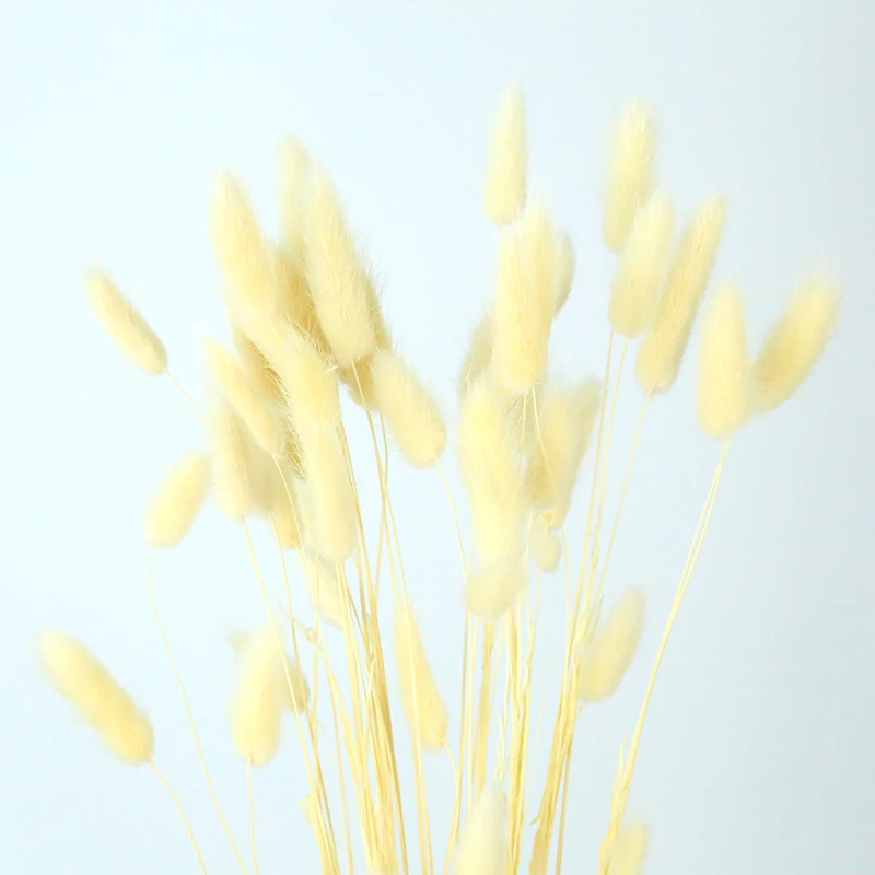 China factory wholesale custom white faux lagurus ovatus natural dried flowers dry bunny tails grass