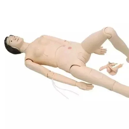 Best Quality Nurse Training Doll Male And Female Medical Science Educational Plastic Human Biology Teaching Anatomy Model