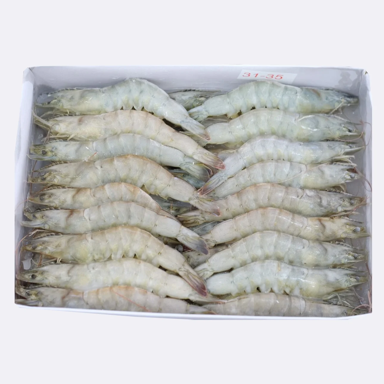 Best Quality Frozen Raw Vannamei Hoso/ Frozen Vannamei White Shrimp Raw with Competitive price