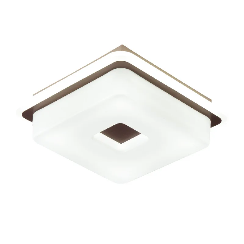 Zhongshan Factory Supplier Simple Acrylic Led Ceiling Light Creative for Interior Lighting