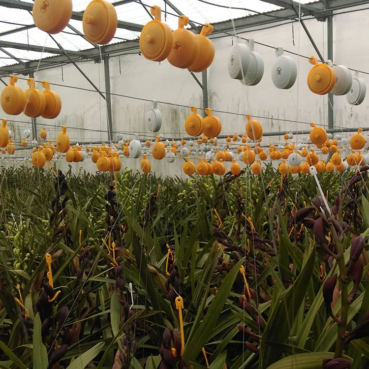 Hydroponic Indoor Grow Tent Colorful Smart Support Plant Yo-Yo for Plant Support, Clipser Yoyo Retractable Hanger for Plants