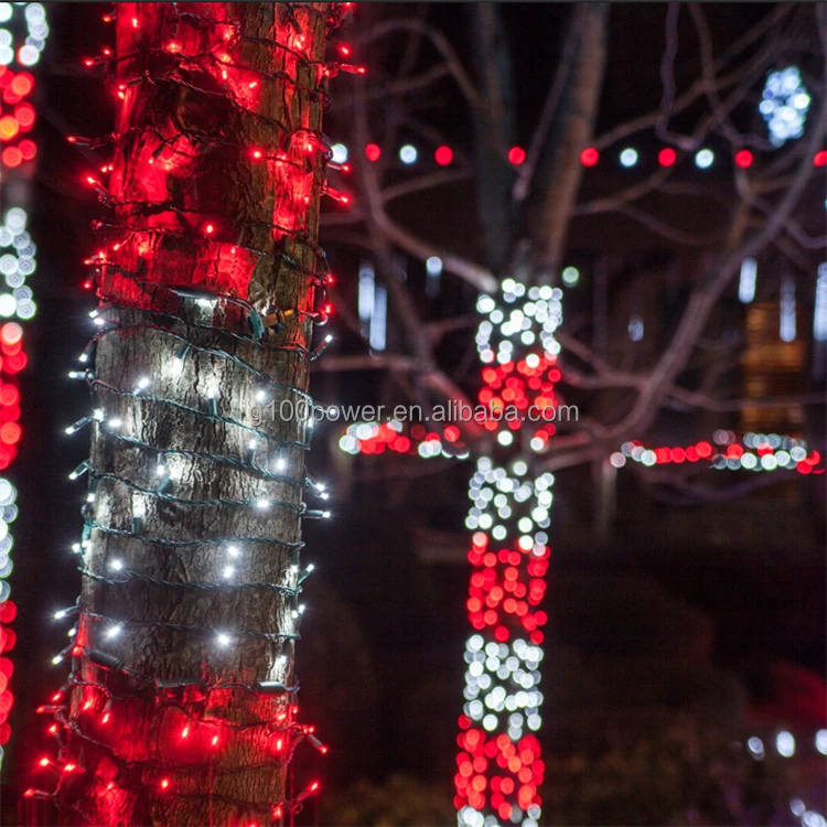 Commercial 50 5MM Warm White LED Christmas Lights Set