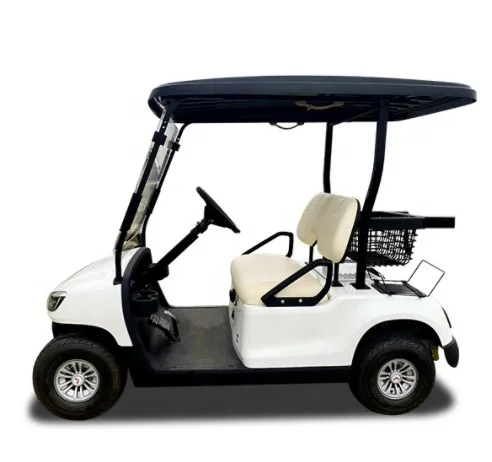 New 2 Seats Good Prices Electric Golf Cart Golf Car with CE Certification WLDT2A