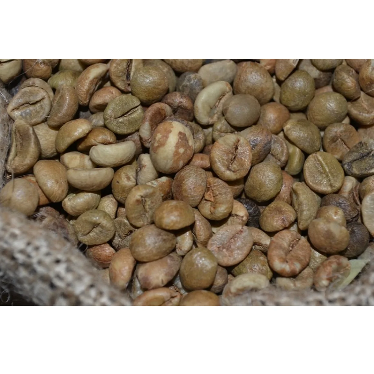 
Unwashed Robusta Green Coffee Bean (Grade 1 - Screen 1) 