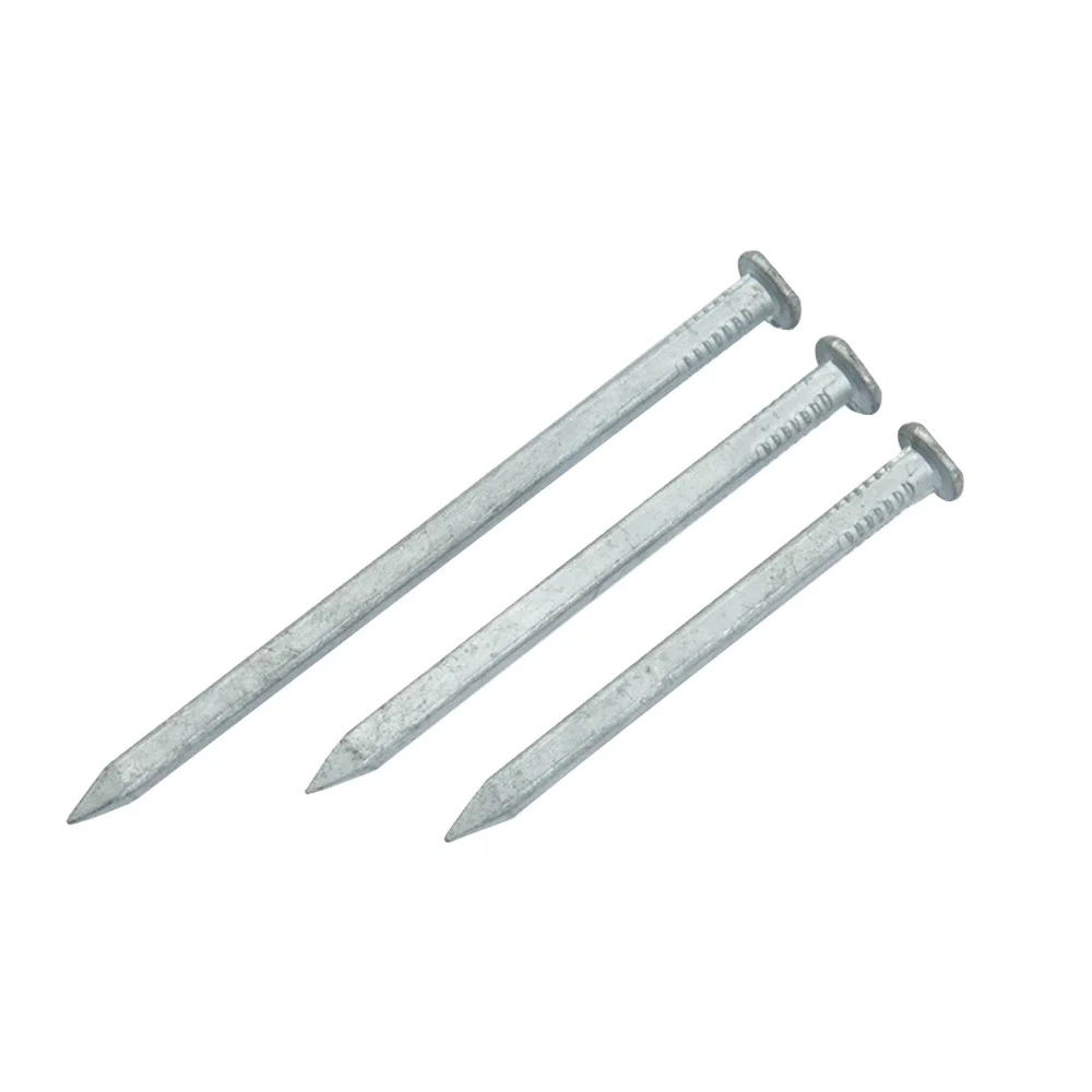High quality Electro Galvanized HDG Square Boat Nail factory manufacture hot sale