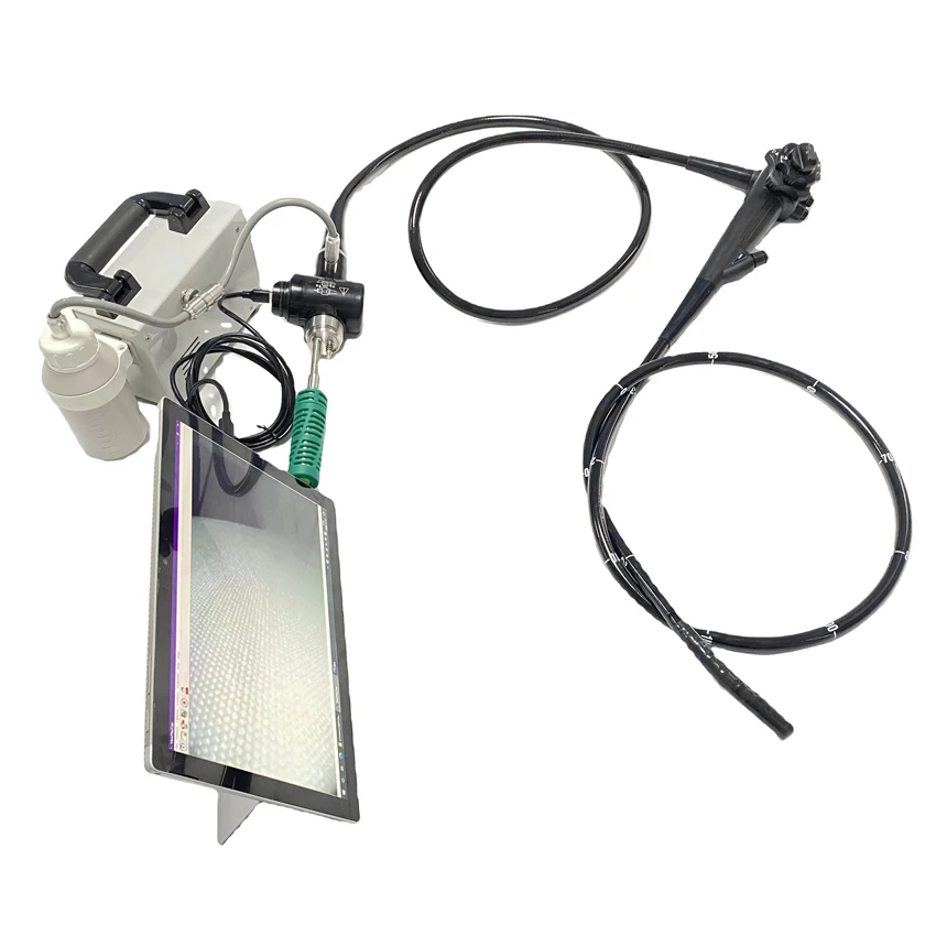 HD resolution usb video endoscope for vet use USB Gastroscope Colonoscope for vet use