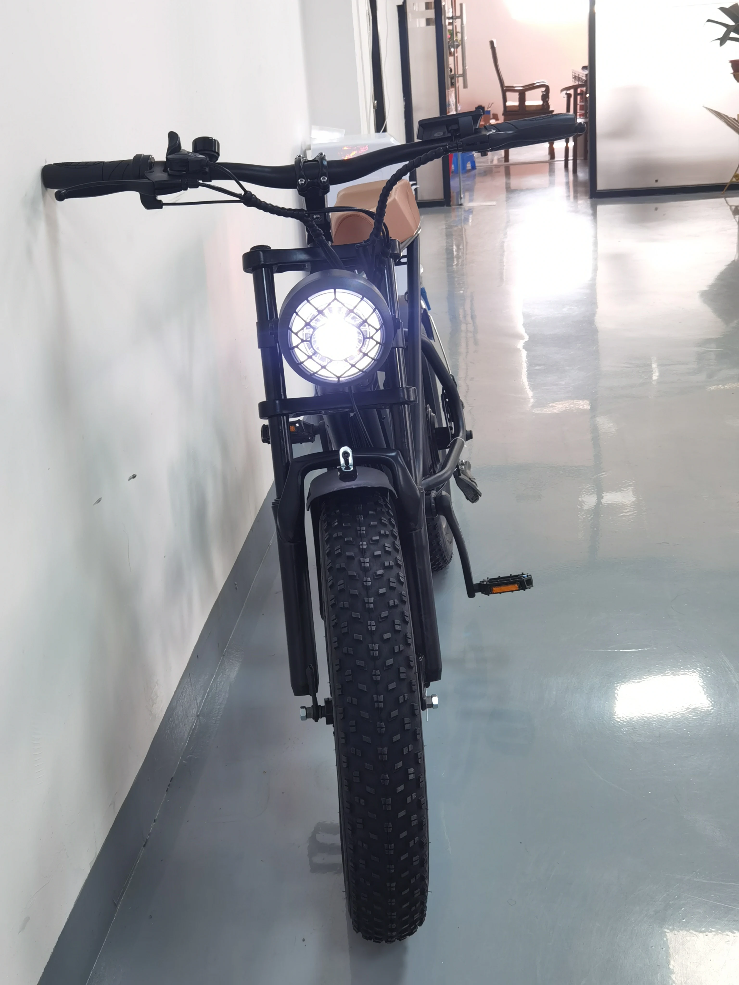Customization High Speed 48V 1000W Motor C9 Electric Bicycle 20 Inch Fat Tire Off Road Mountain Moped Bike