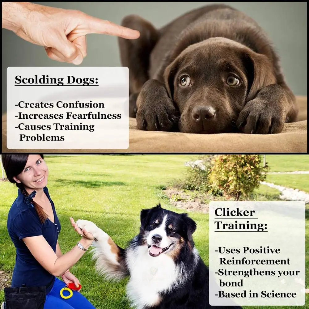 New Arrivals 2021 Universal Dog Training Clicker with Wrist Bands Strap, Colorful Dog Clickers for Pet Dog Training